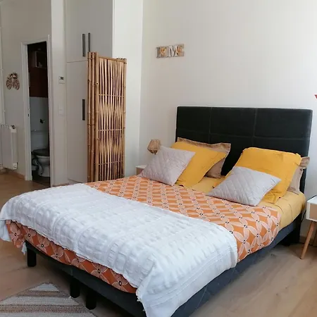 Renove 25 M2 Centre Historique